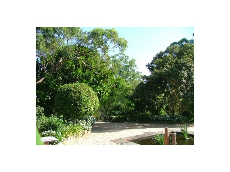 1021 Long Gully Road, Drake NSW 2469