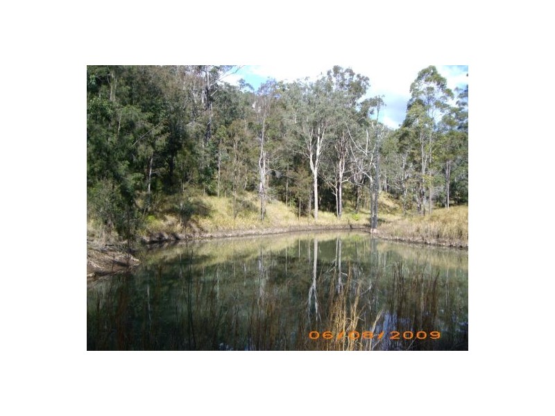 1021 Long Gully Road, Drake NSW 2469