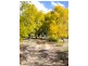 1021 Long Gully Road, Drake NSW 2469