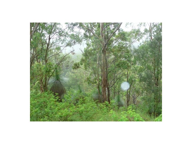 112 Homeleigh Road, Kyogle NSW 2474