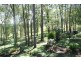 115 Runnymede Road, Kyogle NSW 2474