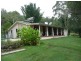 Lynchs Creek NSW 2474