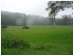 Lynchs Creek NSW 2474