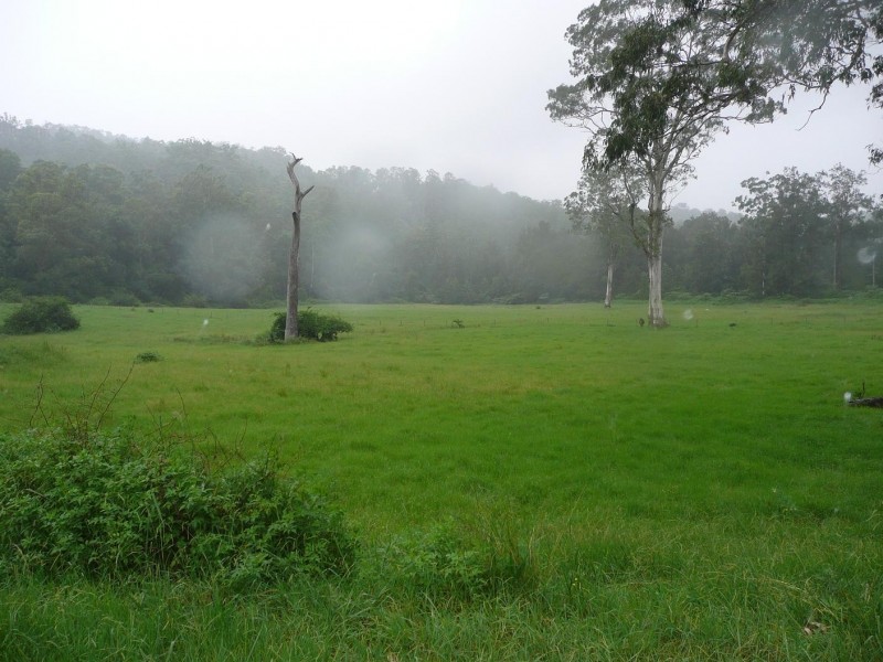 Lynchs Creek NSW 2474