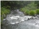Lynchs Creek NSW 2474