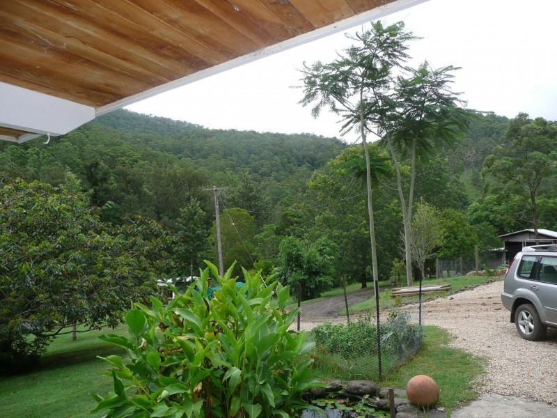 Lynchs Creek NSW 2474