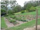 Lynchs Creek NSW 2474