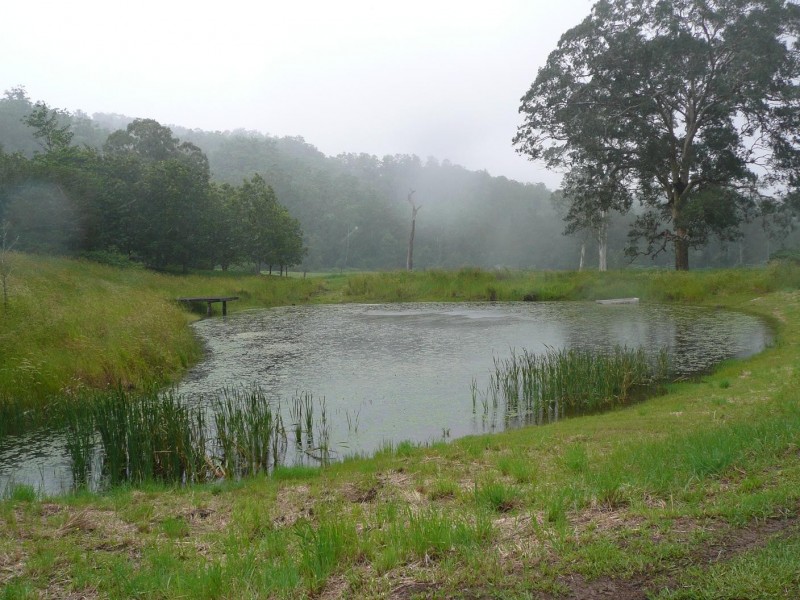 Lynchs Creek NSW 2474