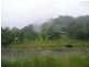 Lynchs Creek NSW 2474