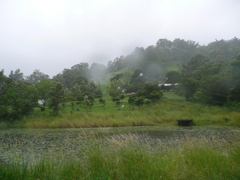 Lynchs Creek NSW 2474