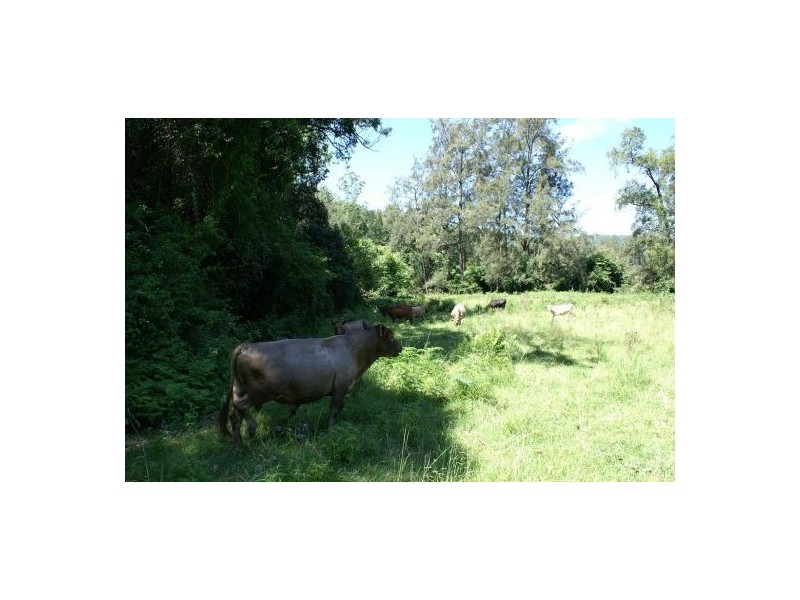 336 Smiths Creek Road, Kyogle NSW 2474