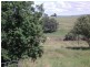 Tabulam NSW 2469