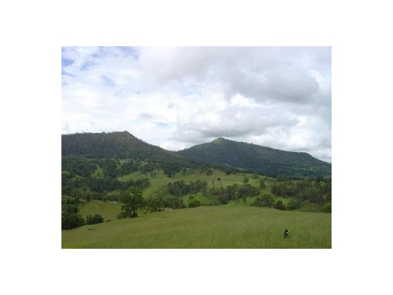 879 Gradys Creek Road, Kyogle NSW 2474