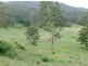 781 Upper Eden Creek Road, Kyogle NSW 2474