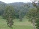 781 Upper Eden Creek Road, Kyogle NSW 2474