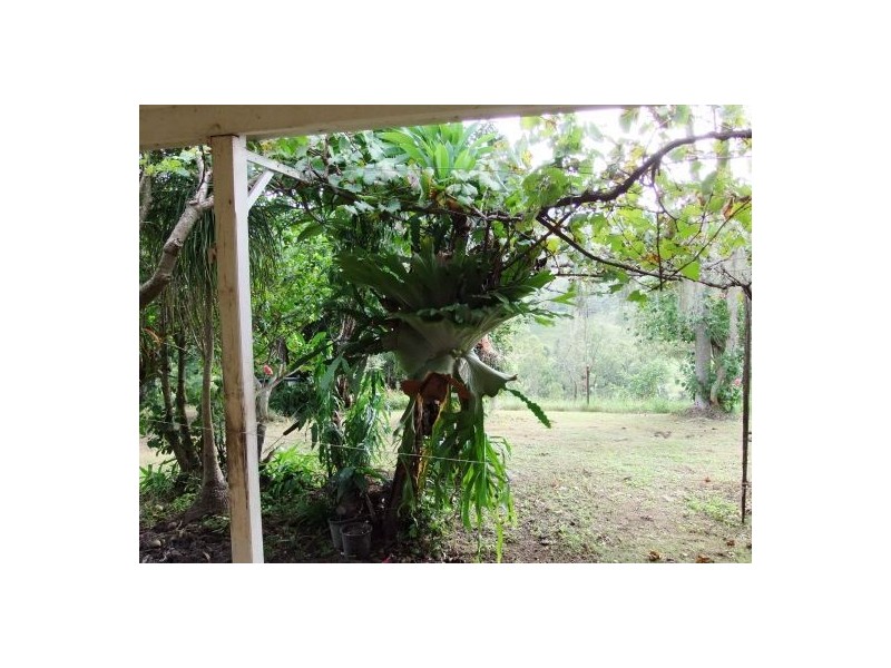 781 Upper Eden Creek Road, Kyogle NSW 2474