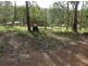 Drake NSW 2469