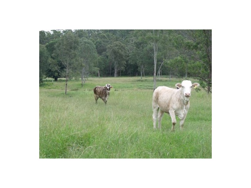 35 Walsh Drive, Casino NSW 2470