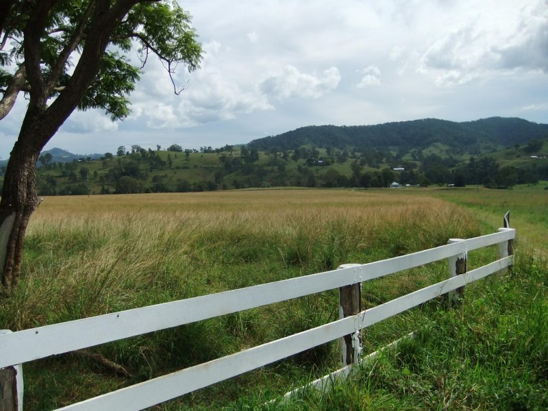 Eden Creek NSW 2474