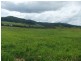 Eden Creek NSW 2474