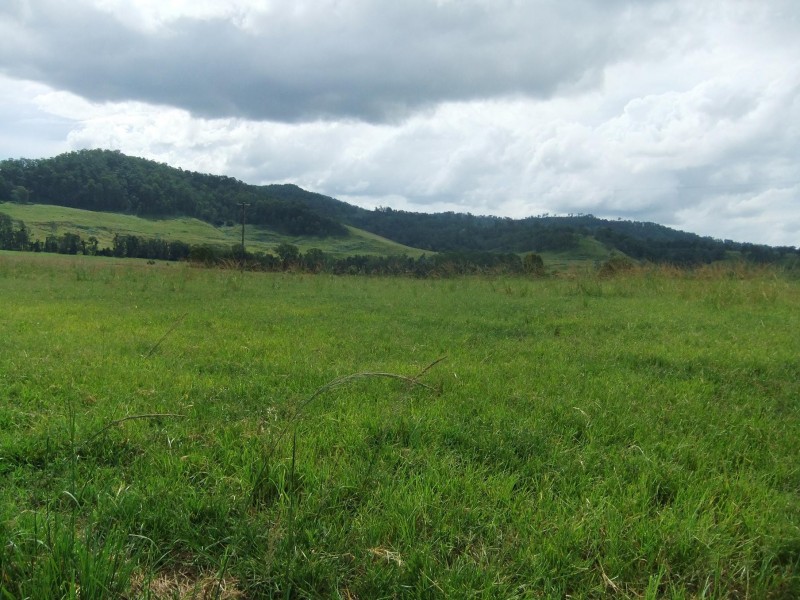 Eden Creek NSW 2474
