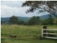 Eden Creek NSW 2474