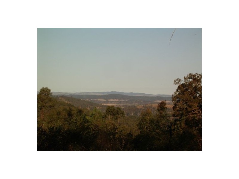 1369 Paddy’s Flat Road, Tabulam NSW 2469