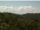 1369 Paddy’s Flat Road, Tabulam NSW 2469