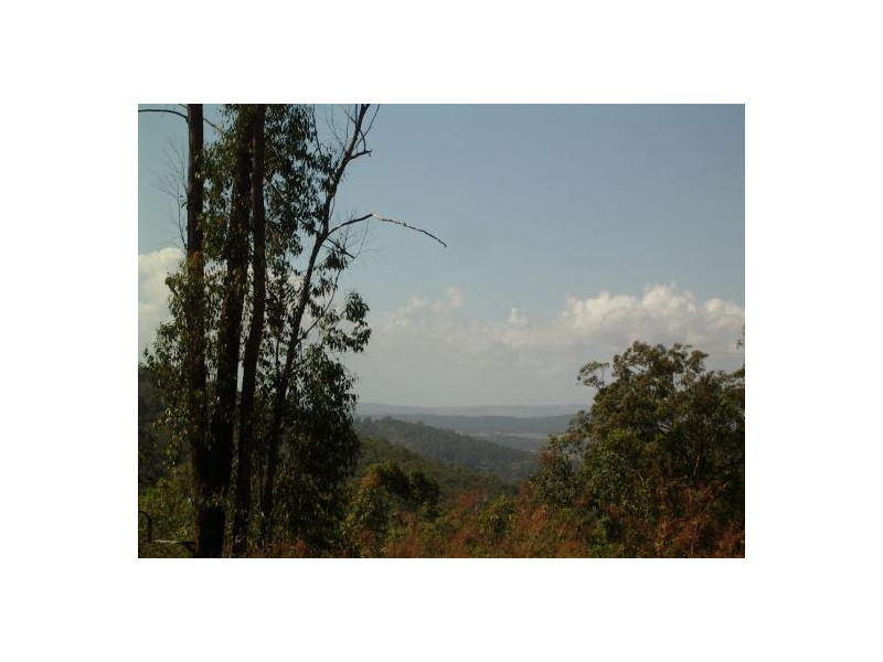 1369 Paddy’s Flat Road, Tabulam NSW 2469