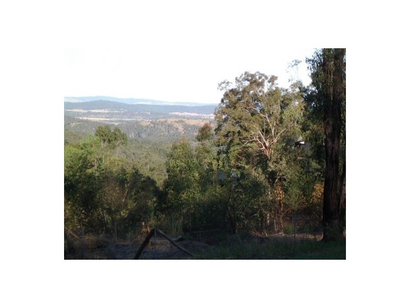 1369 Paddy’s Flat Road, Tabulam NSW 2469