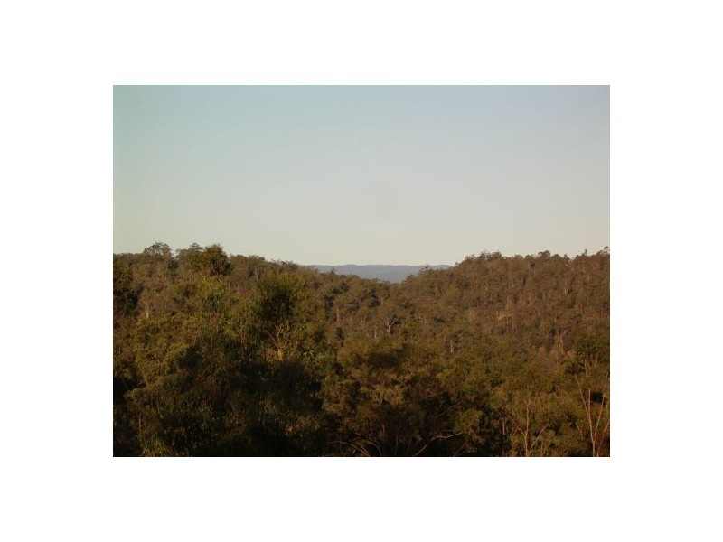 1369 Paddy’s Flat Road, Tabulam NSW 2469