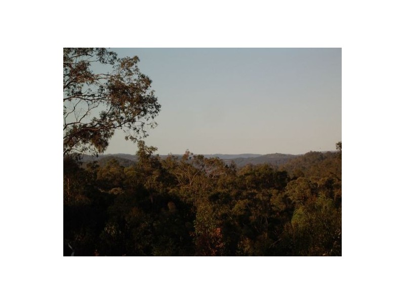 1369 Paddy’s Flat Road, Tabulam NSW 2469