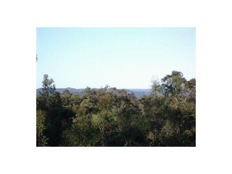 1369 Paddy’s Flat Road, Tabulam NSW 2469