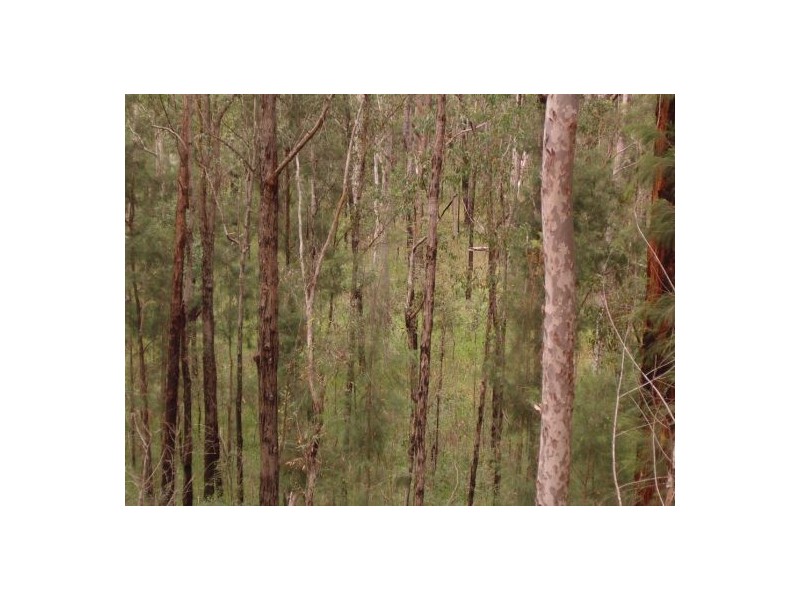 Lot 1 Bruxner Road, Drake NSW 2469