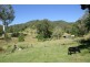 755 Upper Eden Creek Road, Kyogle NSW 2474