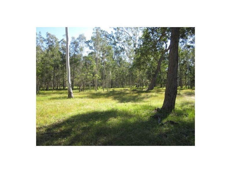 2262 Old Tenterfield rd, Rappville NSW 2469