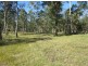 2262 Old Tenterfield rd, Rappville NSW 2469