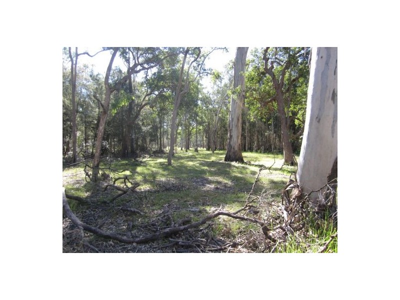 2262 Old Tenterfield rd, Rappville NSW 2469