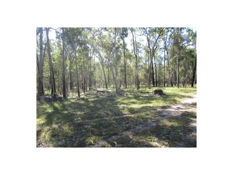 2262 Old Tenterfield rd, Rappville NSW 2469