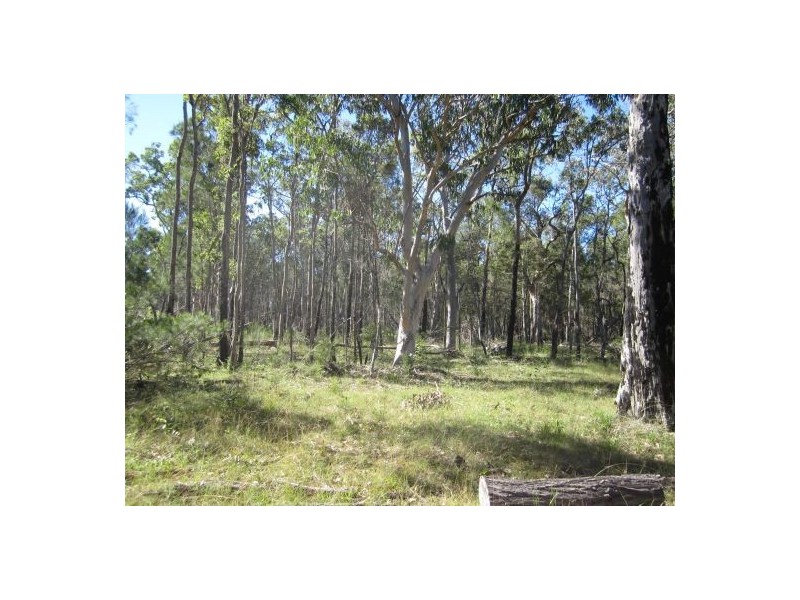 Lot 112 Old Tenterfield Rd, Rappville NSW 2469