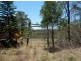 471 Paddy’s Flat Rd, Tabulam NSW 2469