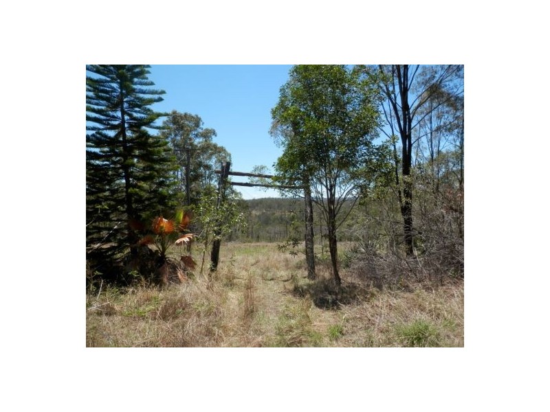 471 Paddy’s Flat Rd, Tabulam NSW 2469