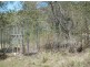 471 Paddy’s Flat Rd, Tabulam NSW 2469