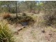 471 Paddy’s Flat Rd, Tabulam NSW 2469