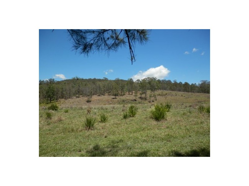 471 Paddy’s Flat Rd, Tabulam NSW 2469