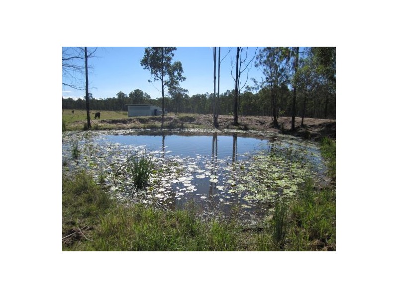 1336 Old Tenterfield Road, Rappville NSW 2469