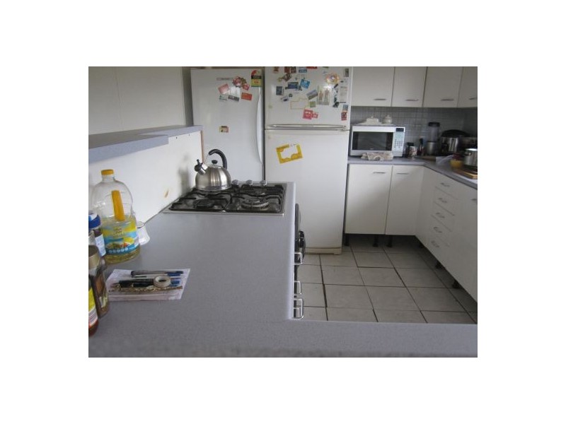 1336 Old Tenterfield Road, Rappville NSW 2469