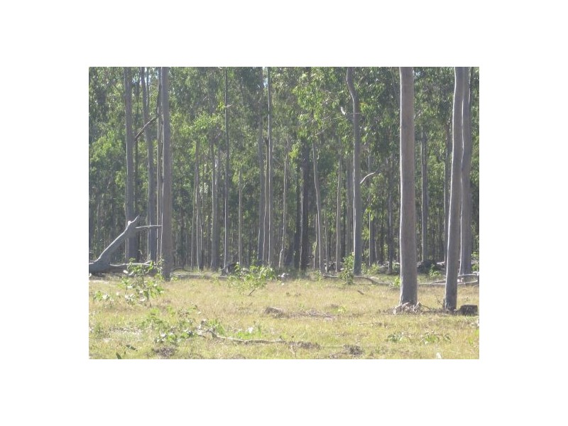 1336 Old Tenterfield Road, Rappville NSW 2469