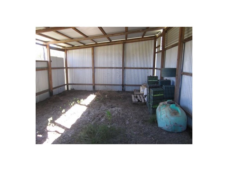 1336 Old Tenterfield Road, Rappville NSW 2469