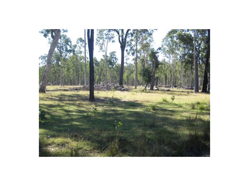 1336 Old Tenterfield Road, Rappville NSW 2469